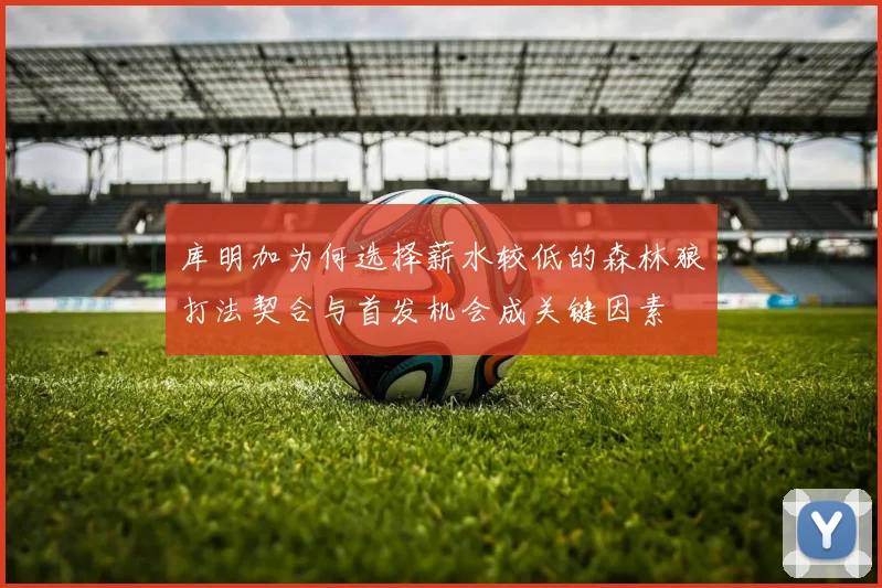 库明加为何选择薪水较低的森林狼打法契合与首发机会成关键因素